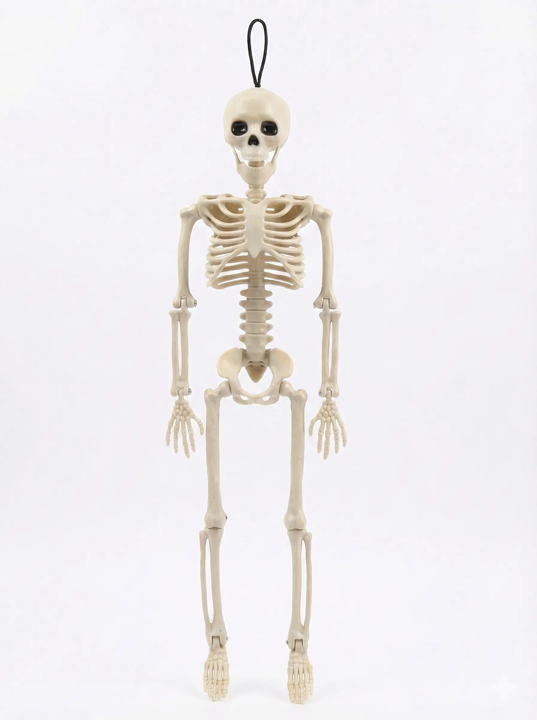 Small plastic human skeleton for hanging decoration